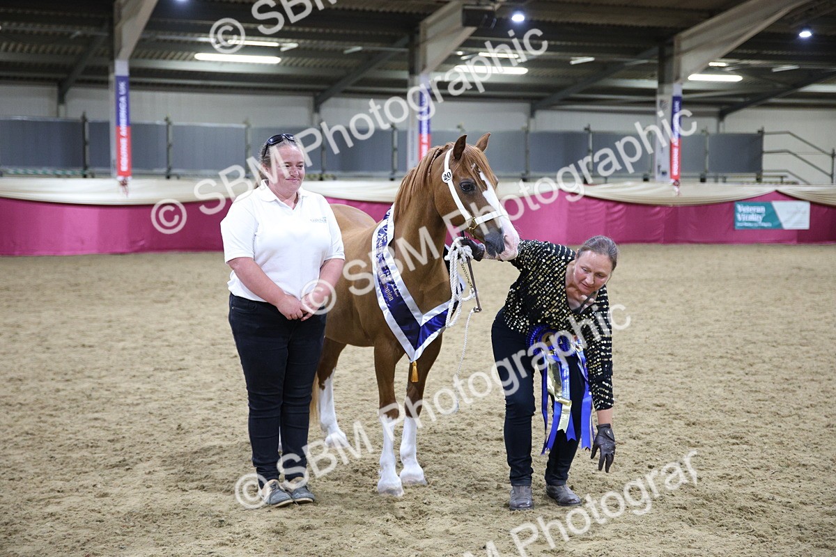 5K7A1581 - Class P Veteran Champ