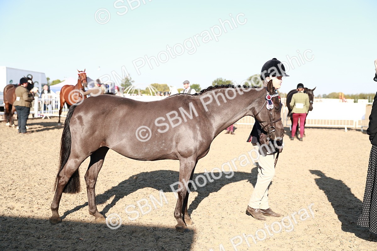 SBM_00083 - Class 40 Best Turned Out IH