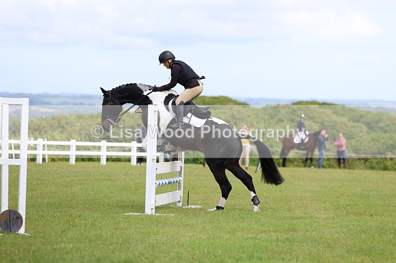 3E7A7333 - Class 13: Senior British Novice/90cm open