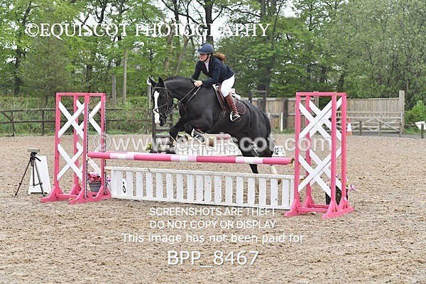 BPP_8467 - CLASS 22 SUN Club/ Unaffiliated 80cms Open