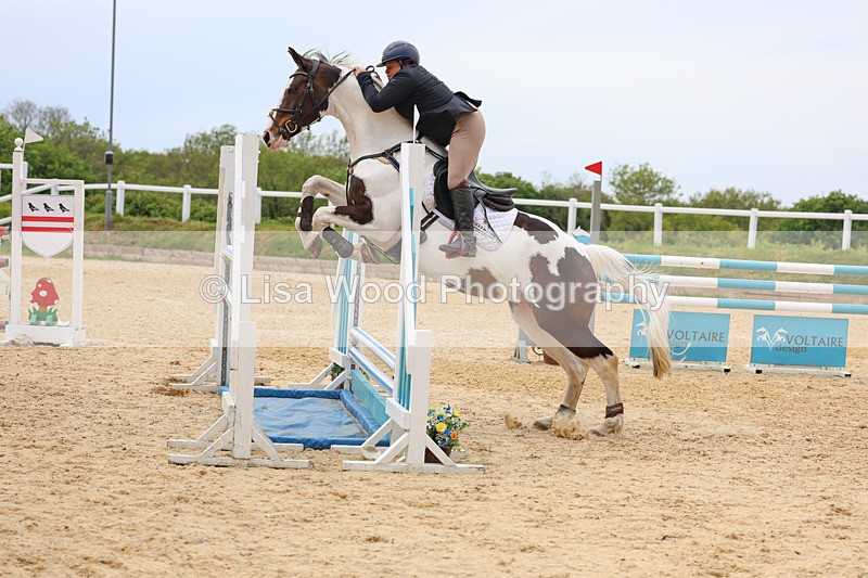 3E7A9377 - Class 8: Senior Newcomers/1.10m open