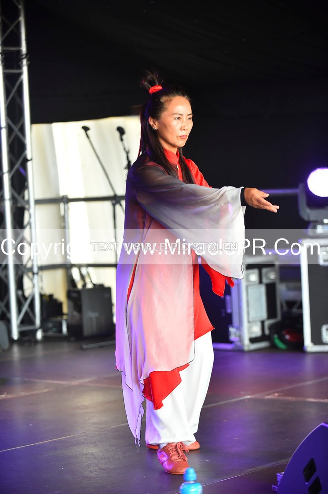 SH4_1486 - Tai Chi with Lisa Kay.