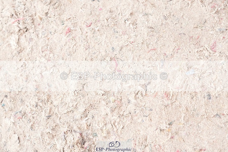 250720-151808-20884 - Cls 32, 1 Star 6yr old Final