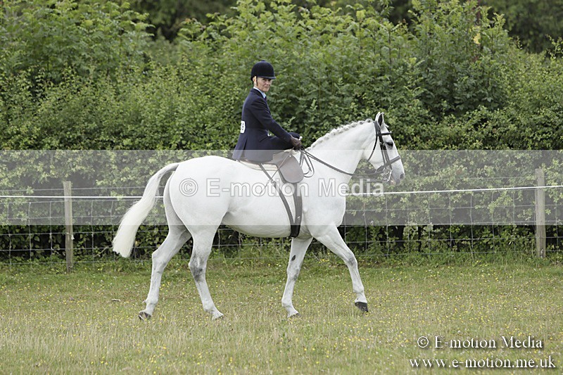 BVR160717-2341 - Side Saddle Classes 16/07/17