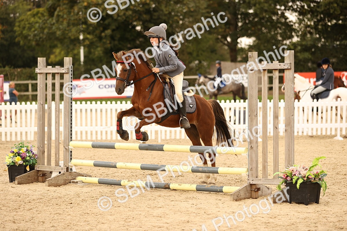 SBM_74280 - J14 - Junior Pony 65cm Championship