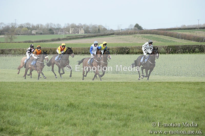 PtP 230319 243 - VWH Hunt Siddington Point-to-Point Racing 23/03/19