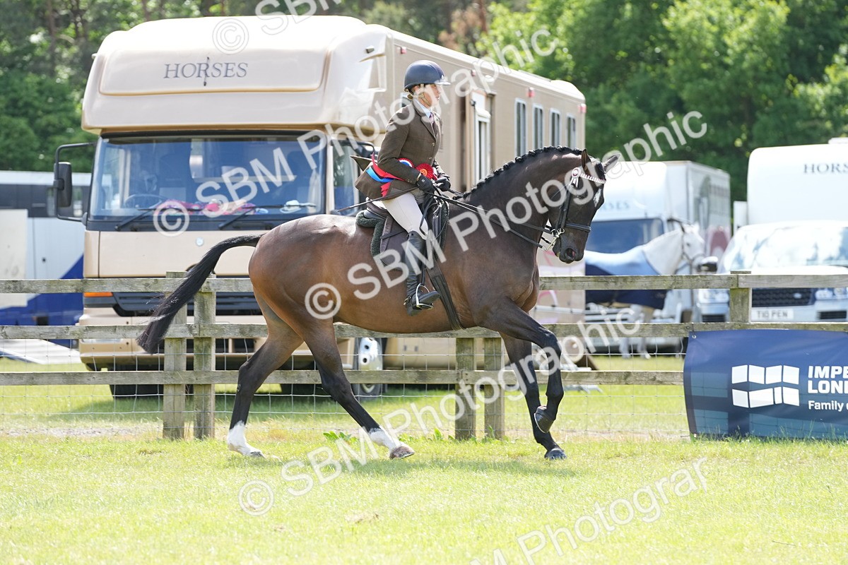 SBM_16316 - Class 105-106 - RIHS Riding Horses