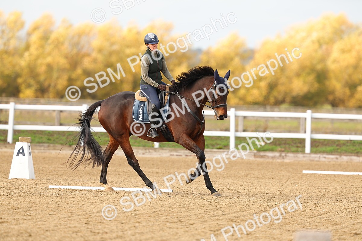 SBM_001317 - Class 13-4-9 - DR P3 CT P3 70cm CT PYO