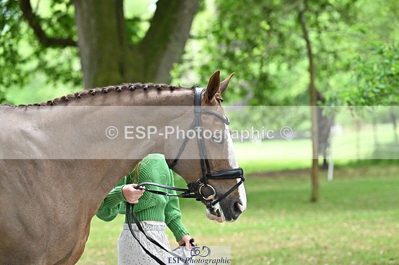 250521A-145107-00284 - A-057-Tabitha.Moore-BILLY.HOODOOS