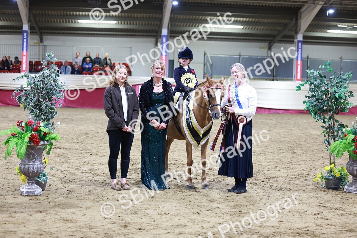 SBM_20593 - Class H - IH Competition - Riding Club champ