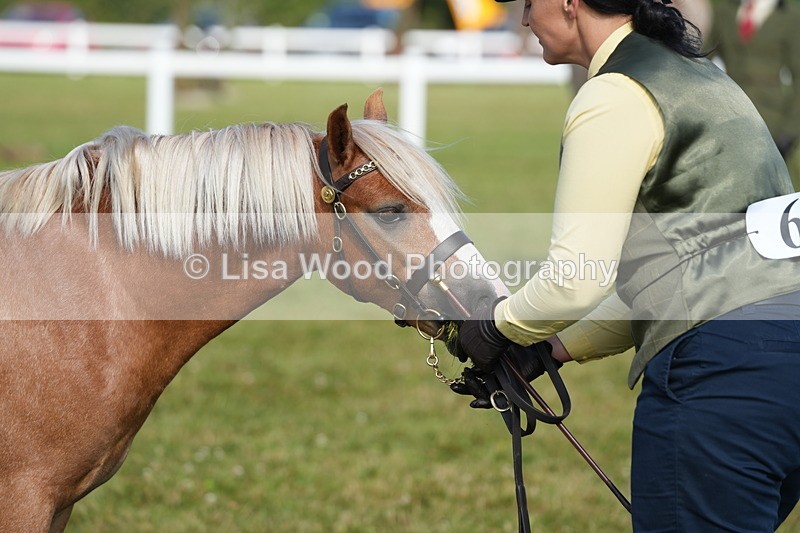 DSC05030 - Class 48: NPS M&M 2/3 year olds