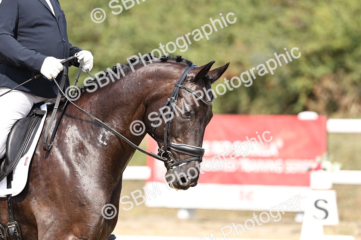 SBM_018608 - Class 16 - Novice 5 - 12.08-13.11