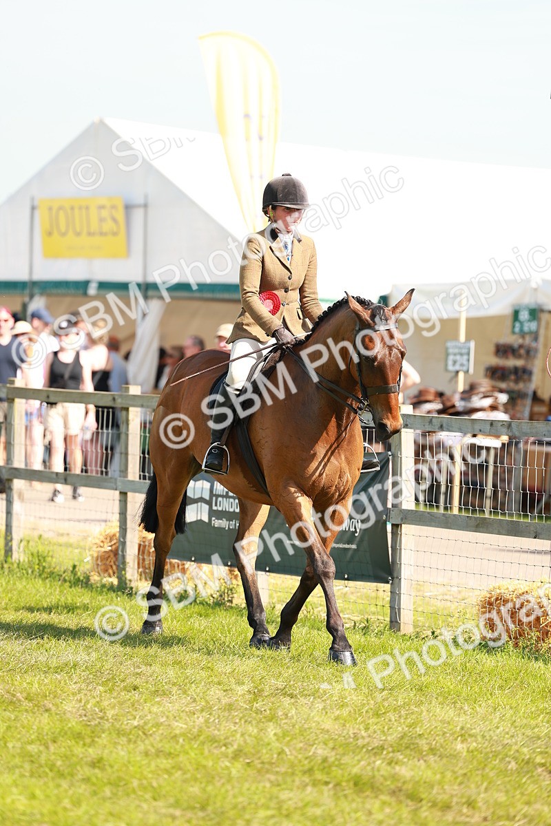 SBM_12104 - Class 66-69 - RIHS Ridden Hunters Inc Small Hunter