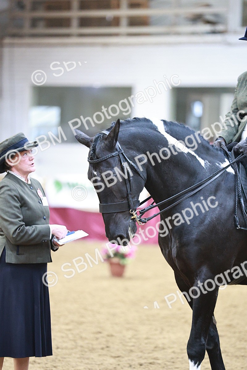 SBM_08971 - Class 12R - Regional Ridden Pre-Vet