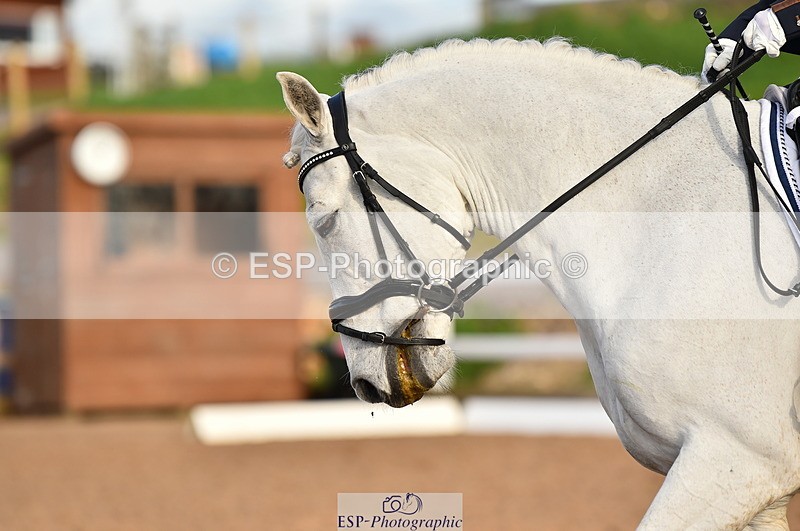 231104A-125802-01813 - Cls 8 Elementary 59