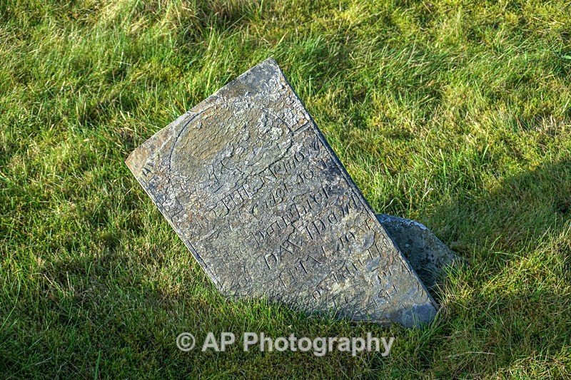 ACP02054-1 - Strata Florida Abbey
