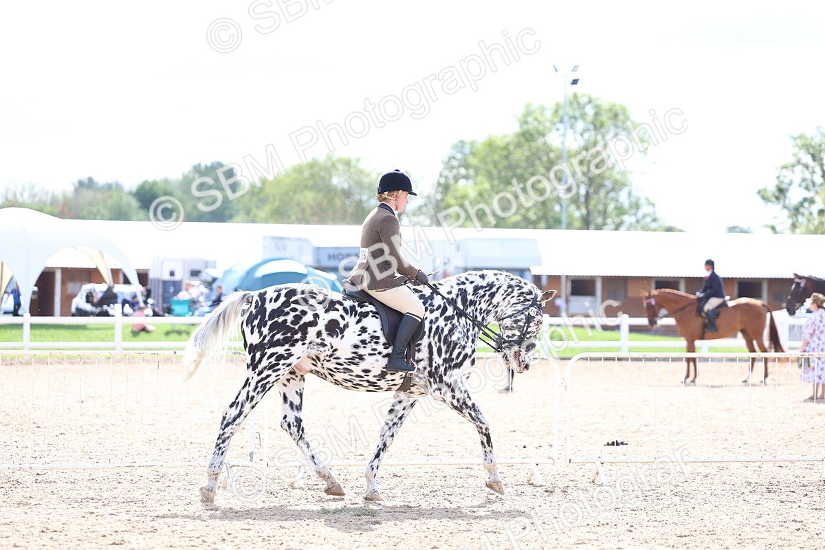 SBM_17108 - Class 315 - Best Horse - Rider Combination