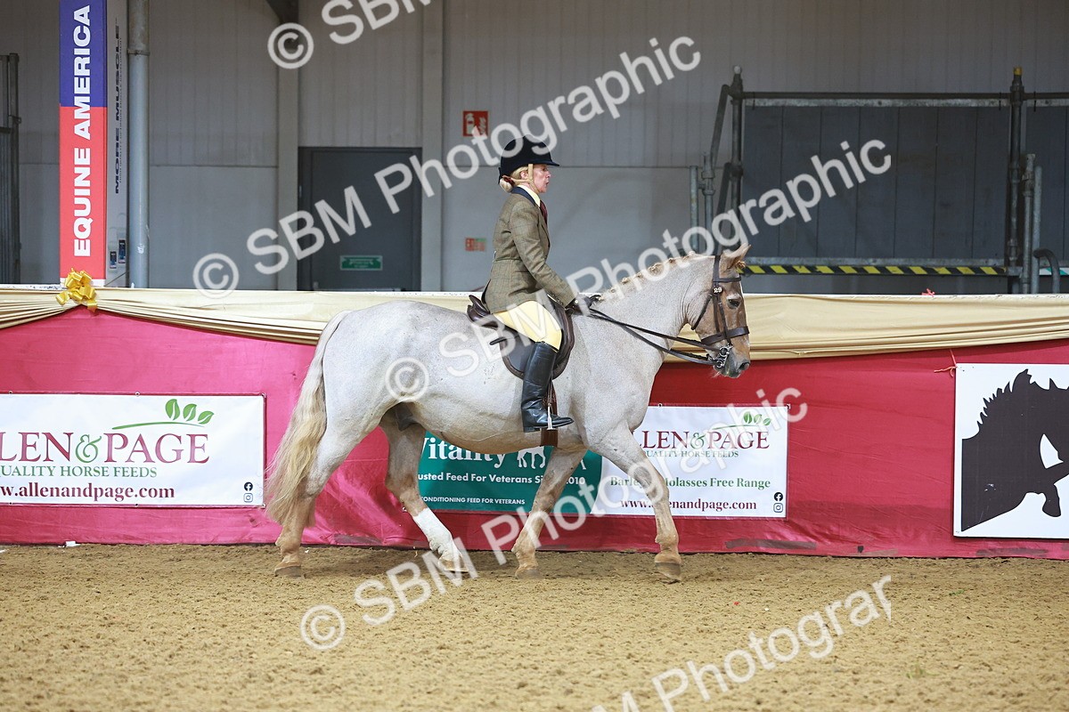 SBM_07580 - Class 101 - HOYS Veteran Qualifier - Ridden Diamond