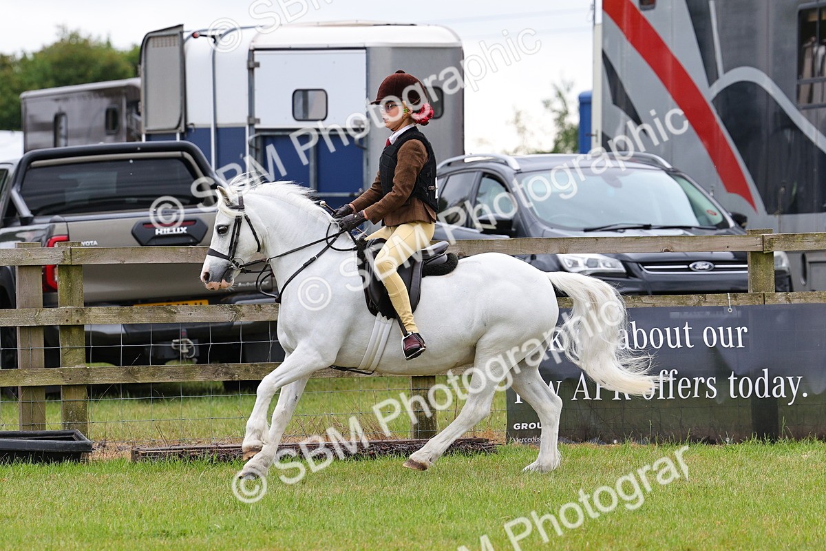 SBM_08728 - Class 42-43 - LIHS BSPS Heritage Working Sports Pony