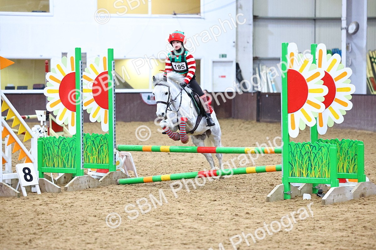 SBM_001346 - Class 3 - Christmas Tree Stakes - 60cm