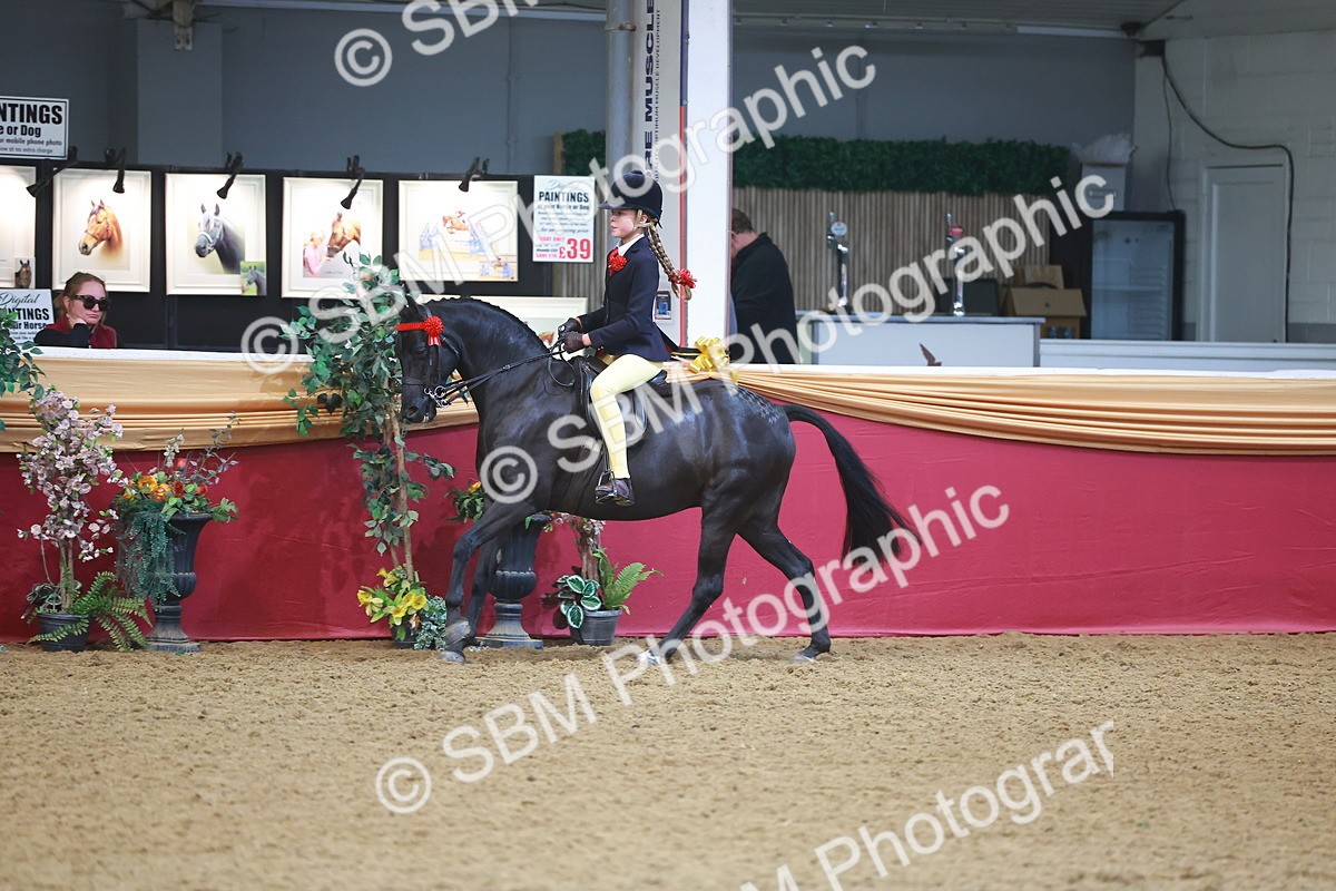 SBM_12539 - Class 103 - HOYS Veteran Qualifier - Ridden Pre Vet