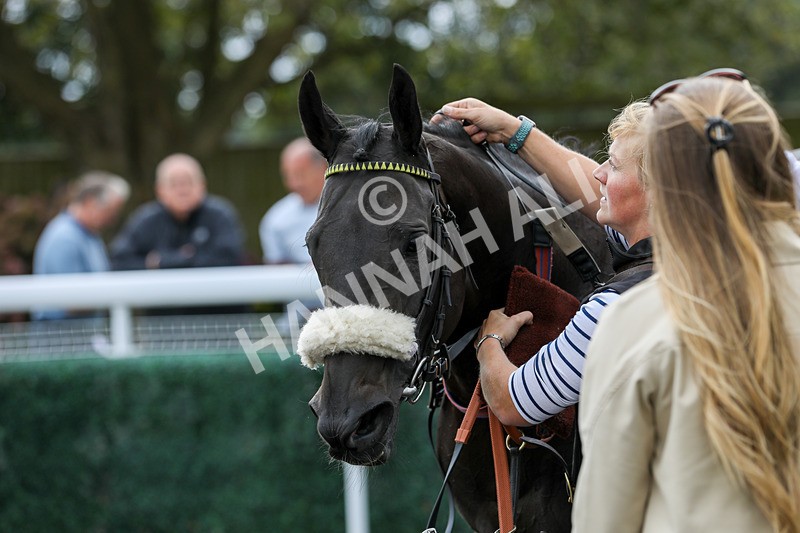 250824-Race 1-Emeralds Pride-9318 - Race 1