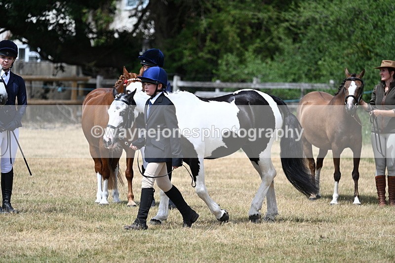 WJ7_1650 - Class 4 Prettiest Mare up to 14.2hh in hand