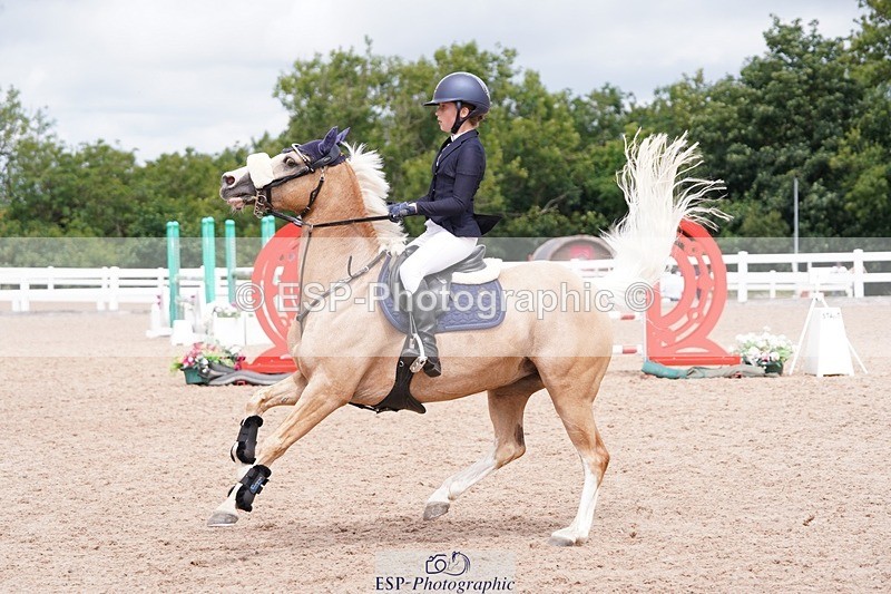 250628-120552-04420 - Cls 22 Springboard