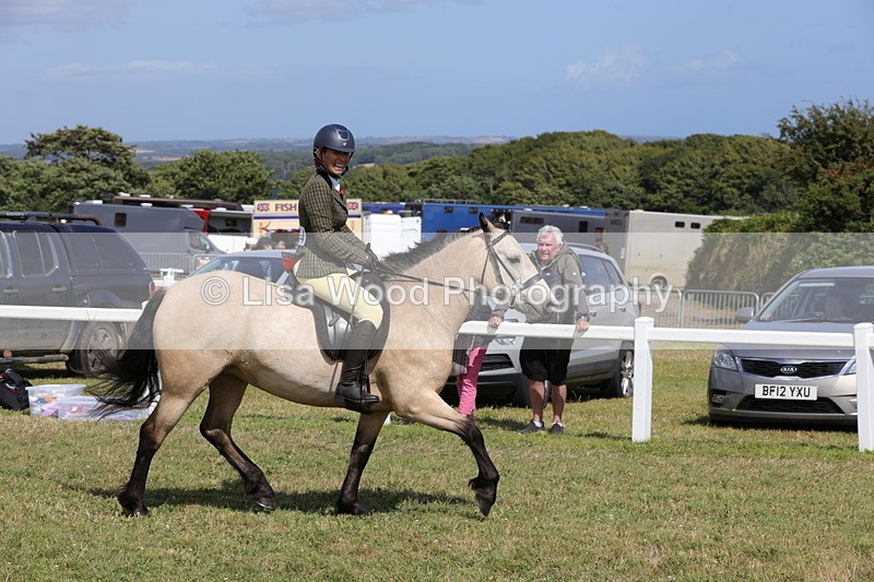 1X9A5541 - Class 38: NPS Novice Ridden Small and Large Breeds