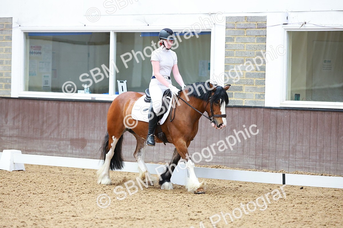 SBM_008409