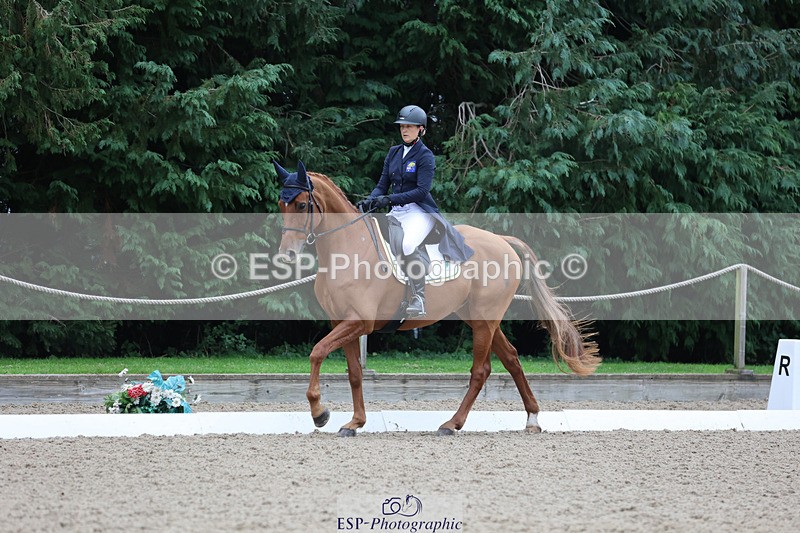 241024-141338-04030 - 239-Lissa.Green-KILLBUNNY.ANDY