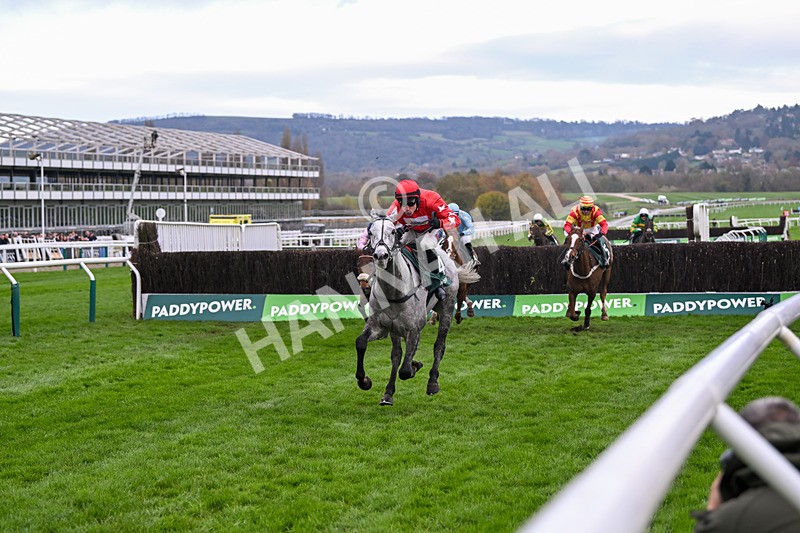 161124-Race 3-LEau Du Sud-9976 - Race 3