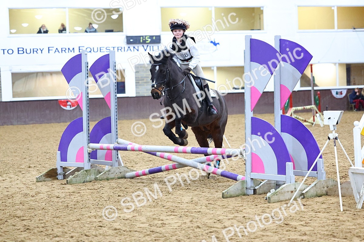 SBM_001408 - Class 3 - Christmas Tree Stakes - 60cm