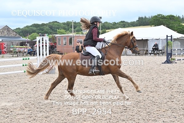 BPP_2954 - CLASS 7 Pony Discovery / 90cm Open