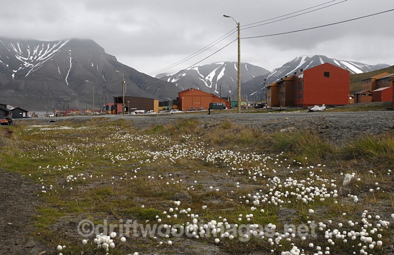 Longyearbyen general view - Longyearbyen