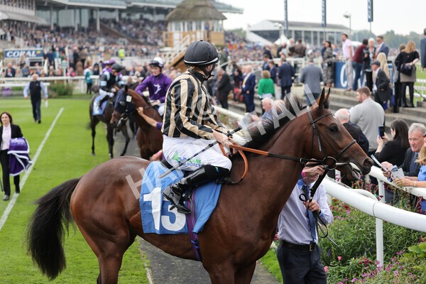 yr09102021r1-18 - Race 1 1.30pm Watch Racing Free Online At Coral Nursery Handicap