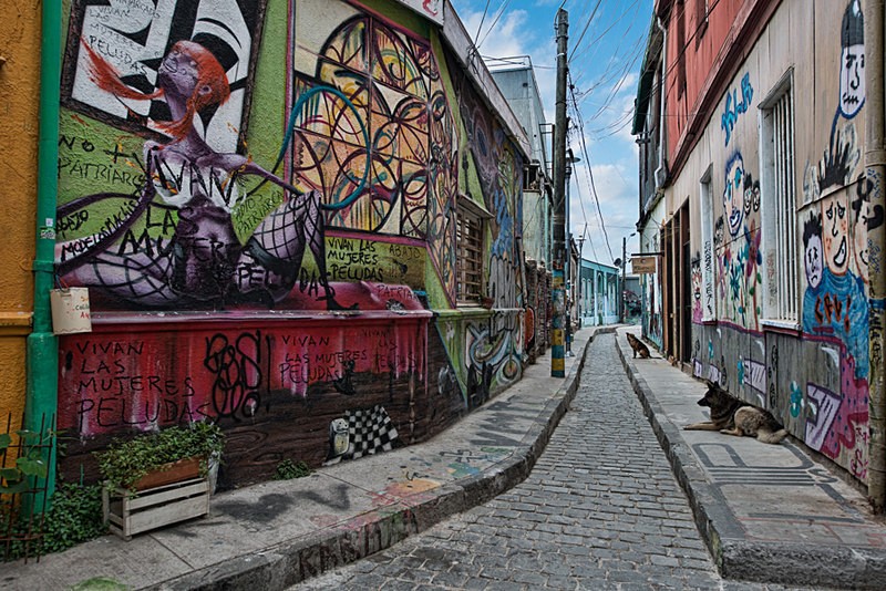  - Street Art & Stray Dogs - Valparaiso, Chile