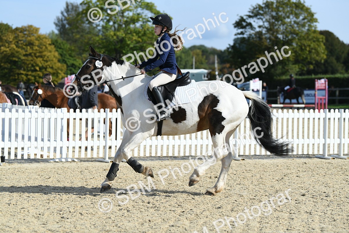 SBM_60694 - j25 - Junior Horse 80cm Championship