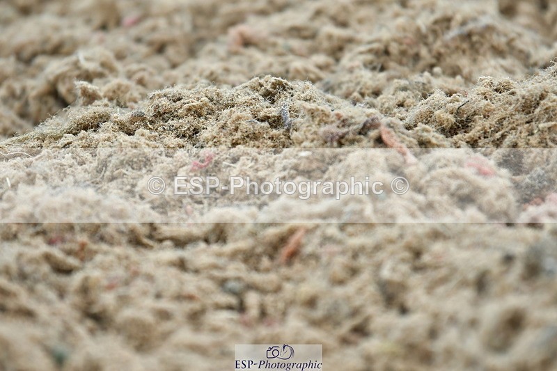 230630A-124324-01628 - Cls 5 Novice 37A