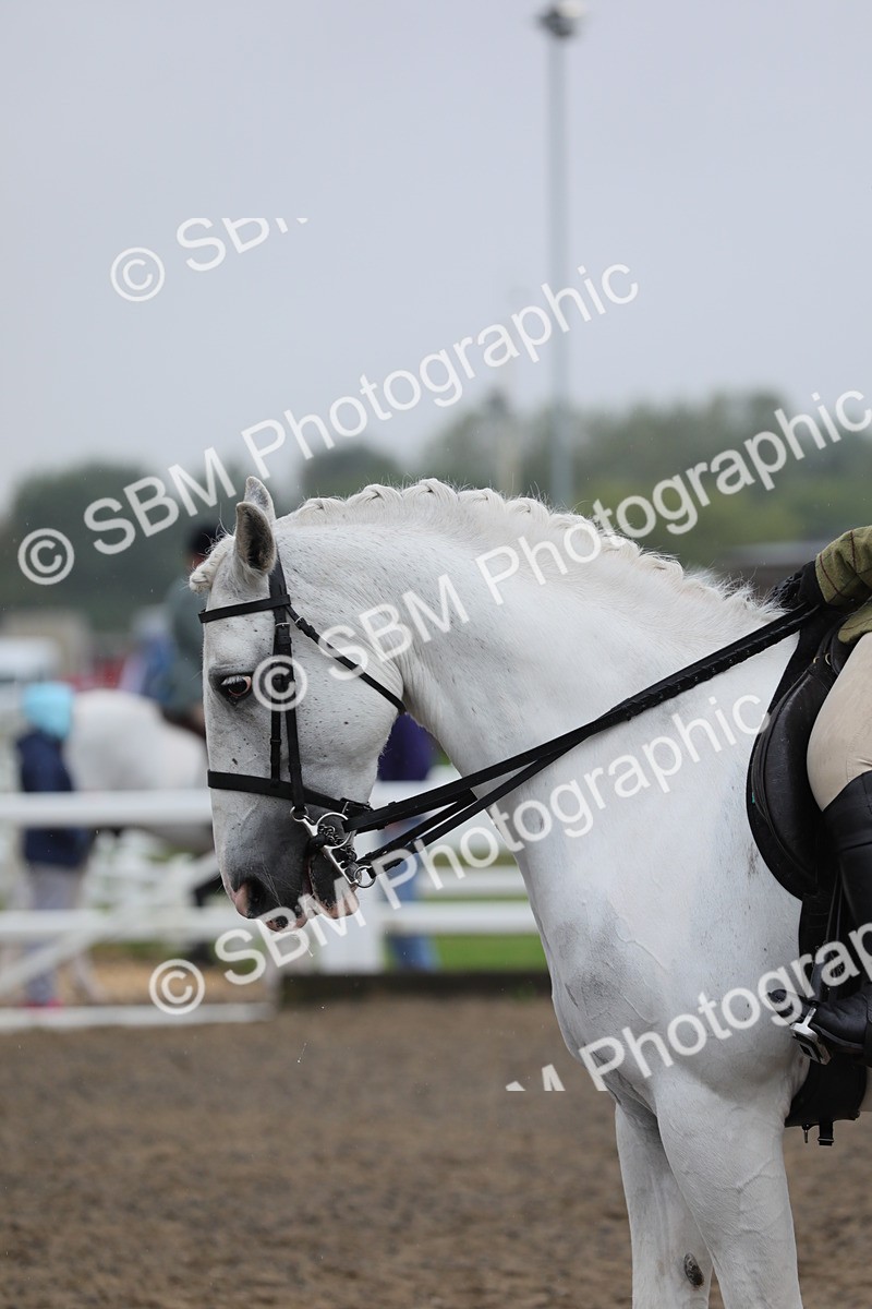 SBM_20318 - Class 803 - Ridden Combination 65+
