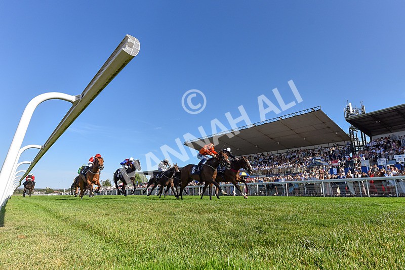120826-Race 6-Rumble Ruby-5006 - Race 6 16.45pm Nation Radio Yorkshire Handicap