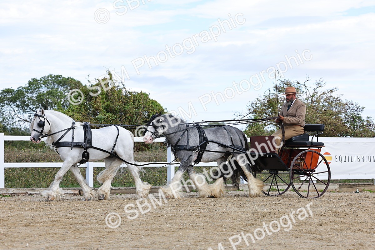 SBM_001193 - Class 16 - Pairs ,Multiples and Tandems