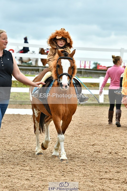 230804A-103421-01961 - Musical Ride