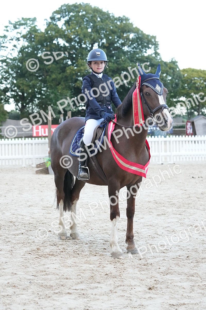 SBM_54238 - Supreme Championship 60cm 65cm