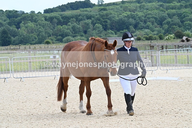 WJ7_8004 - Time 15:39 to 16:08