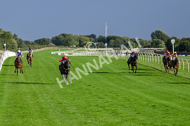 280824-Race 7-Crocodile Power-5051 - Race 7