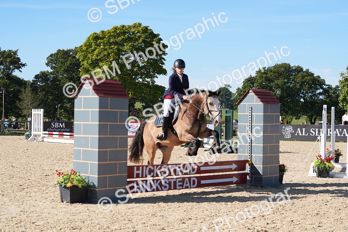 SBM_36206 - J 20 - Junior Horse 50cm Championship