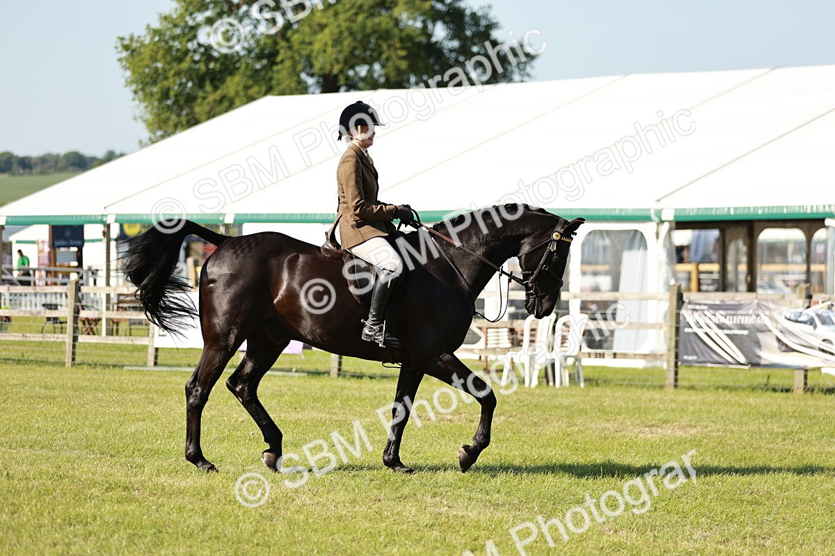 SBM_19212 - Class 115-116 - LIHS BSHA Rising Star Working Hunter & Show Horse