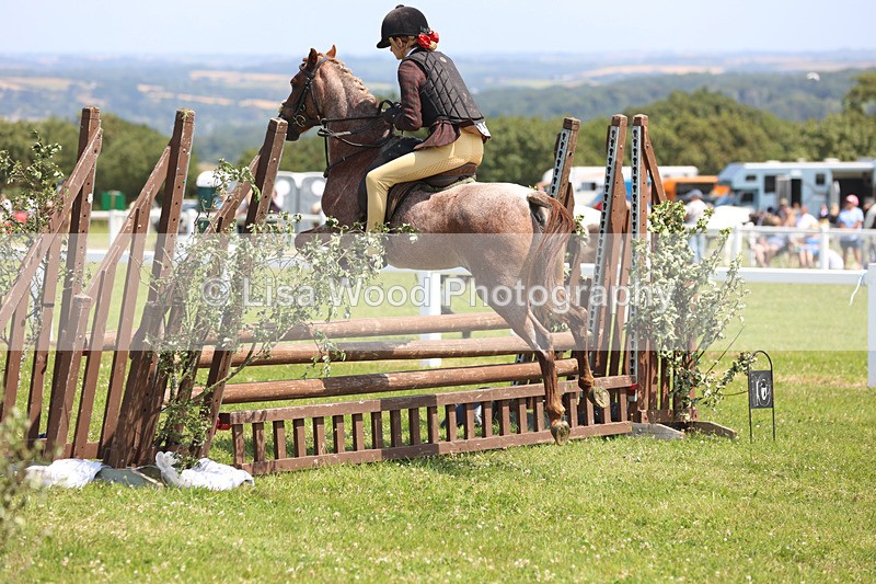 JPP_2971 - Class 22: Working Hunter 70cm