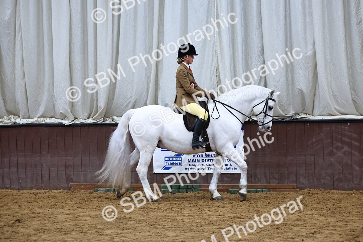 SBM_005574 - M&M Novice WHP Championship